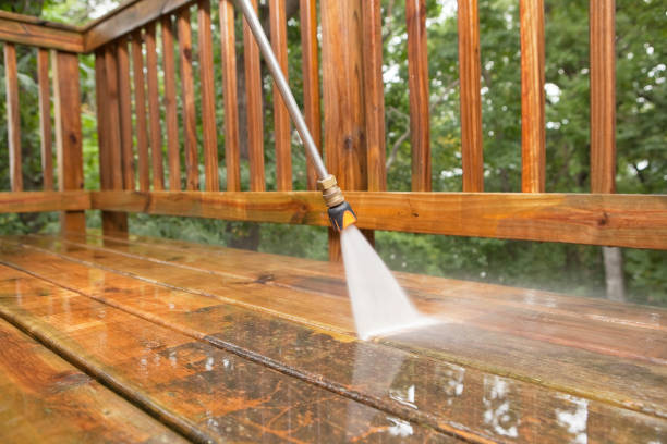 Professional Pressure Washing in South Valley, NM